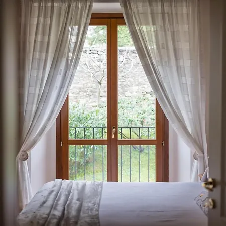 Silvia - Regina * لاليو